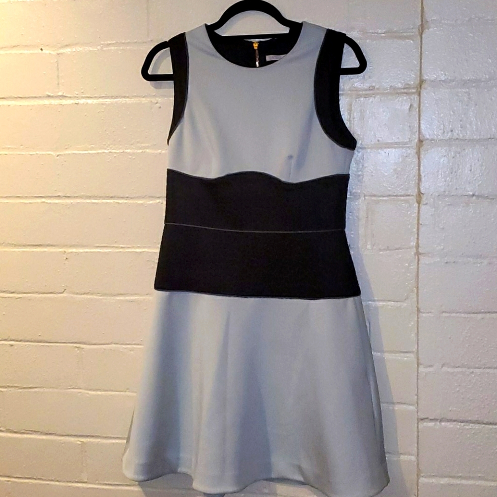 RACHEL ROY Scuba Fit & Flare Dress